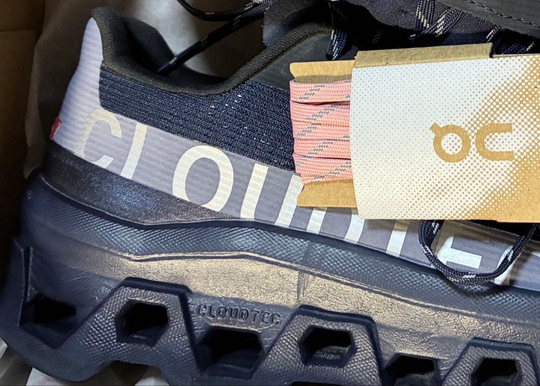 靴 On Cloudmonster void yozakura