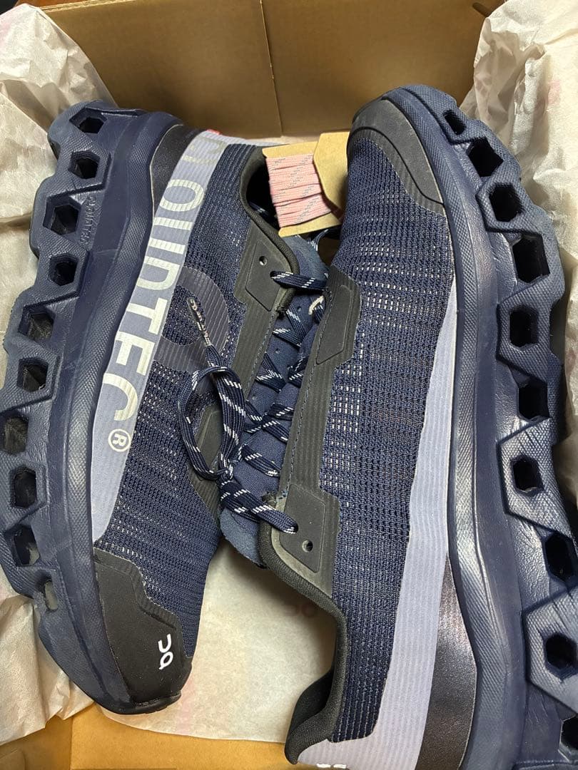 靴 On Cloudmonster void yozakura