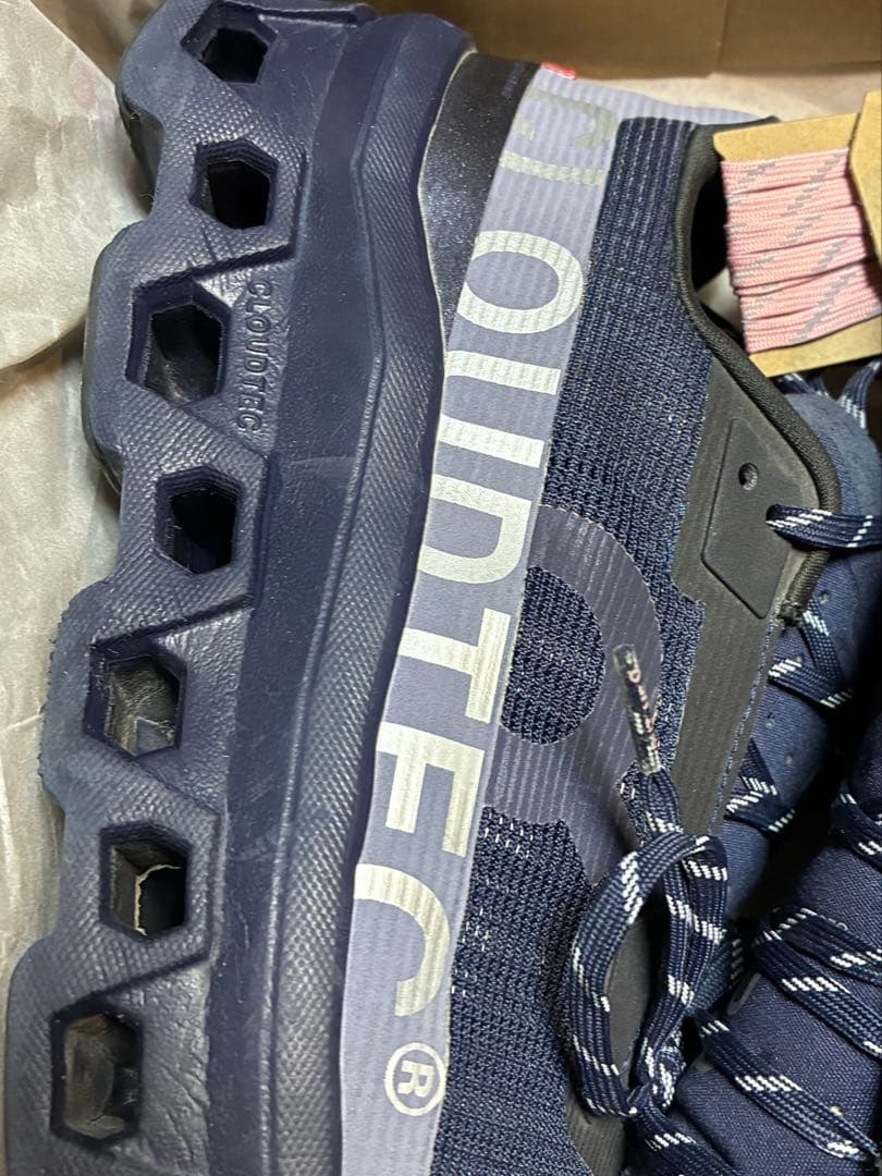 靴 On Cloudmonster void yozakura