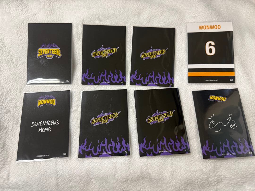 SEVENTEEN  2025 ウォヌ まとめ売り【セルカ入】