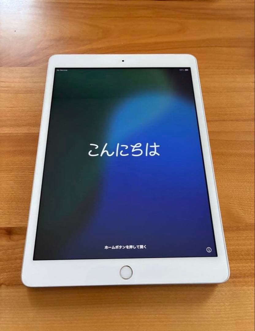 iPad 第7世代 32GB Wi-Fi セルラーモデル　美品　動作良好 AC有