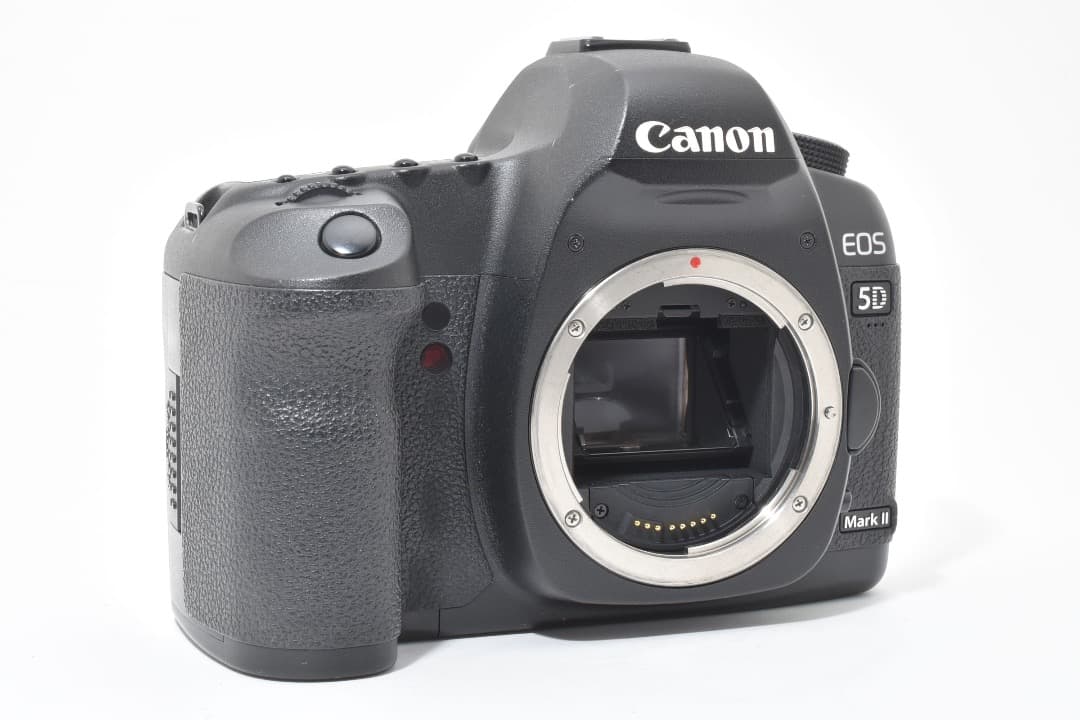 ショット数: 22089回 Canon EOS 5D Mark II #1107