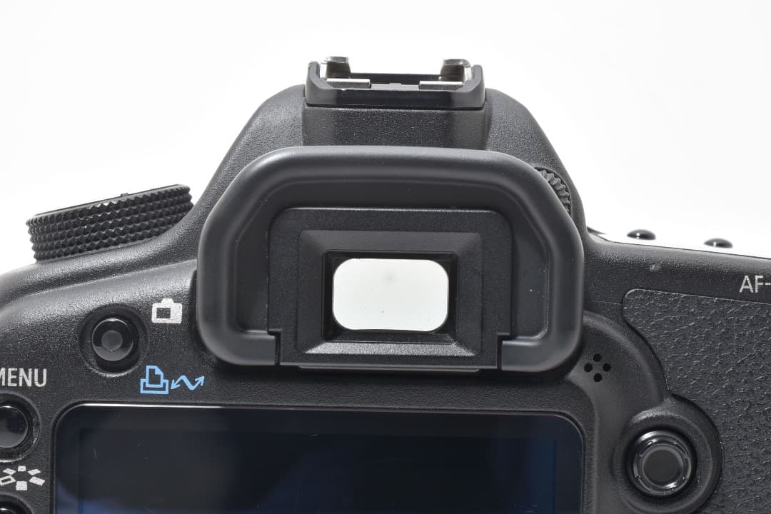 ショット数: 22089回 Canon EOS 5D Mark II #1107