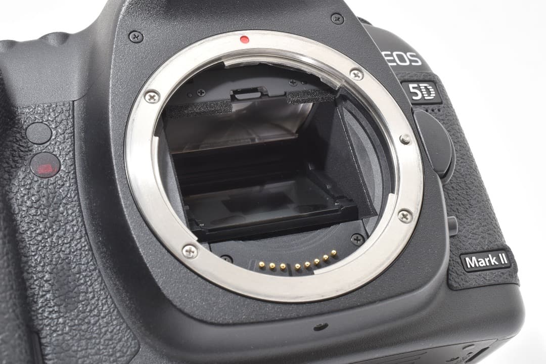 ショット数: 22089回 Canon EOS 5D Mark II #1107