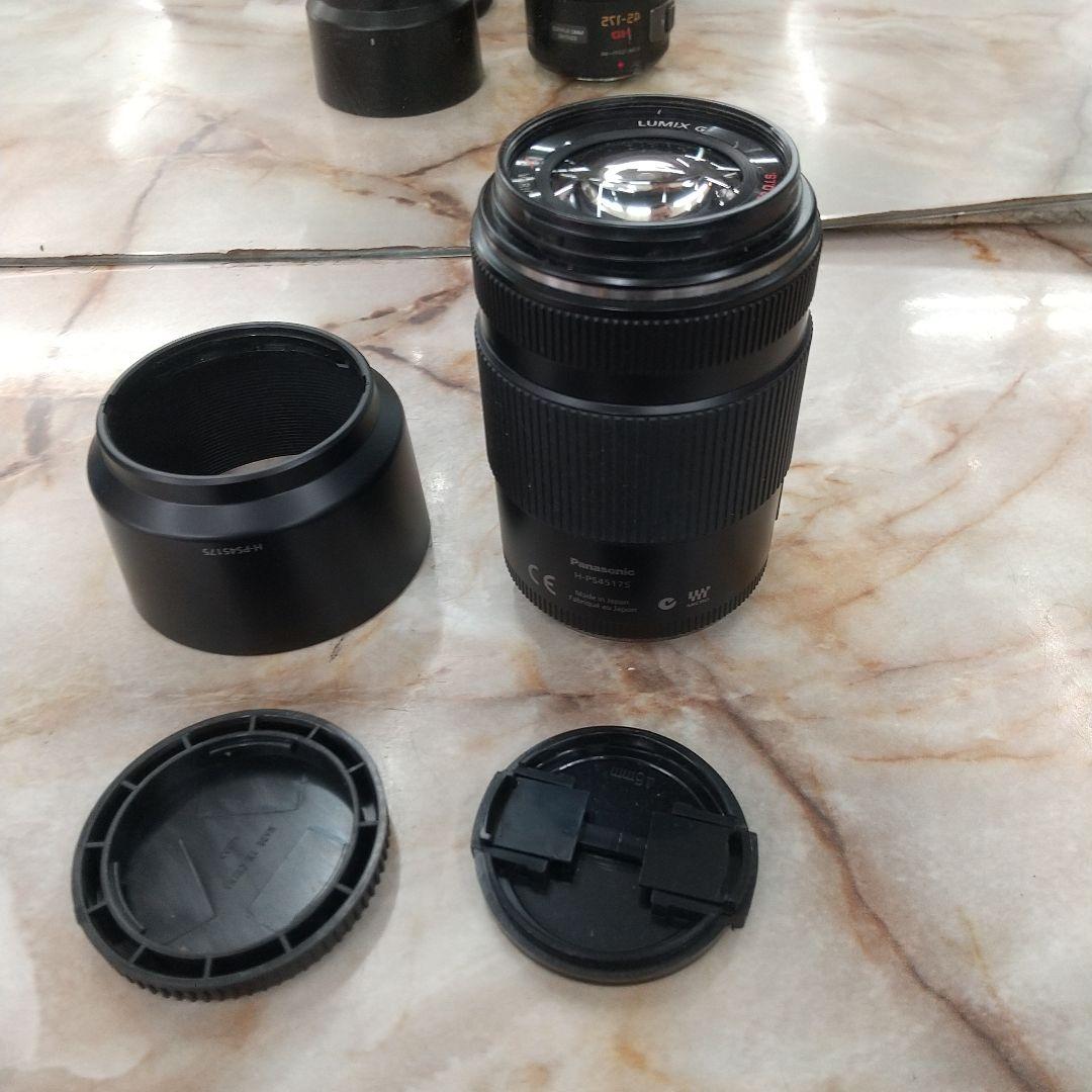LUMIX G 45-175mm HD レンズ