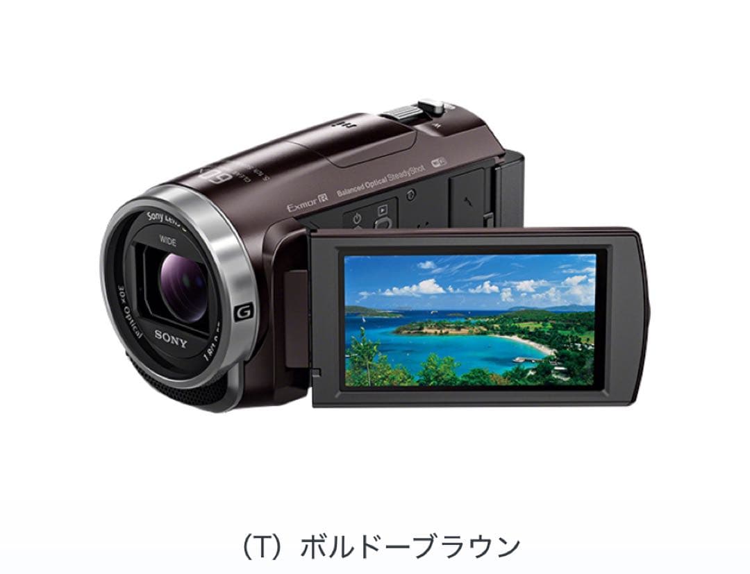 ビデオカメラ Sony HDR-CX675