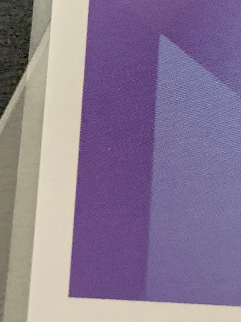 ヴァイスシュヴァルツヴラウ　未来での戦い　ツナ　SP