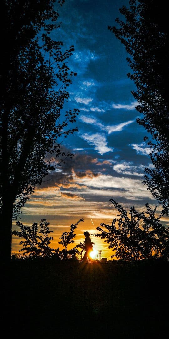 Carl Zeiss (カールツァイス) Batis 40mm F2 CF