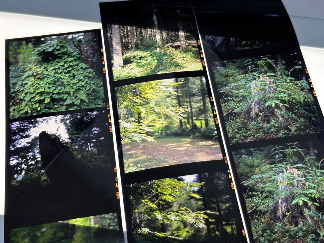 二眼レフカメラ AUTOCORD ミノルタ オートコード 付属品多数 作例あり