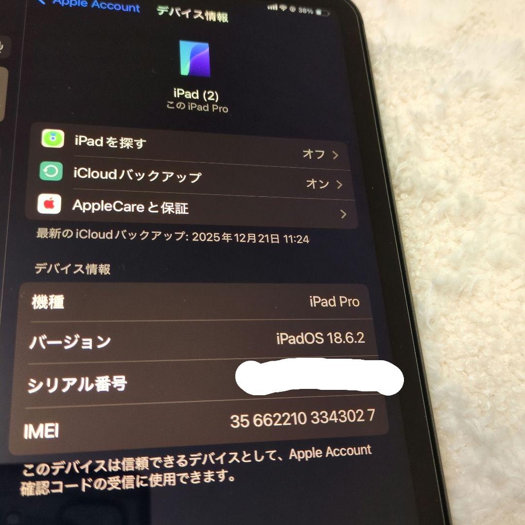 【公式診断89%】iPad Pro 11 第2世代 256GB セルラー +ペン