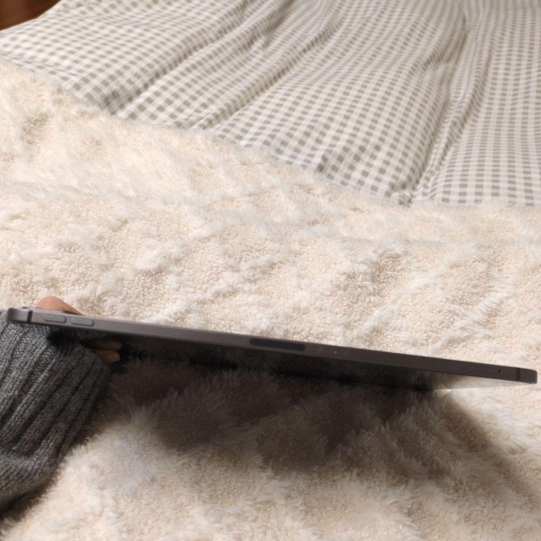 【公式診断89%】iPad Pro 11 第2世代 256GB セルラー +ペン