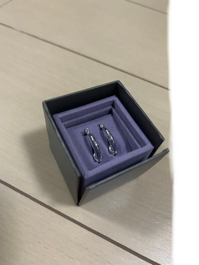 【常田大希】Pointlessjourny EAR RING SILVER