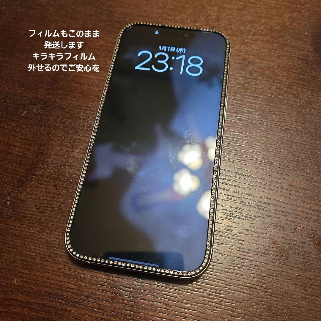 iPhone 16 Pro 本体