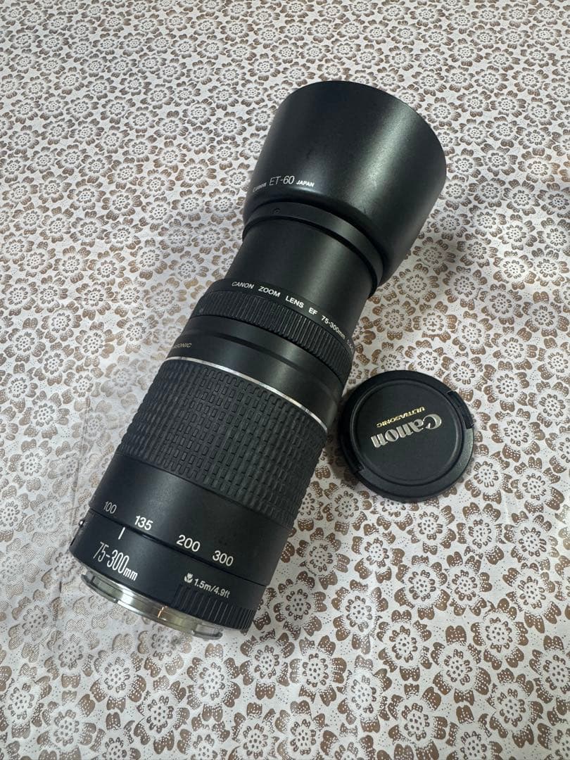 ◇超望遠&高速AF◇Canon純正 75-300mm Ⅲ 望遠レンズ!!◇