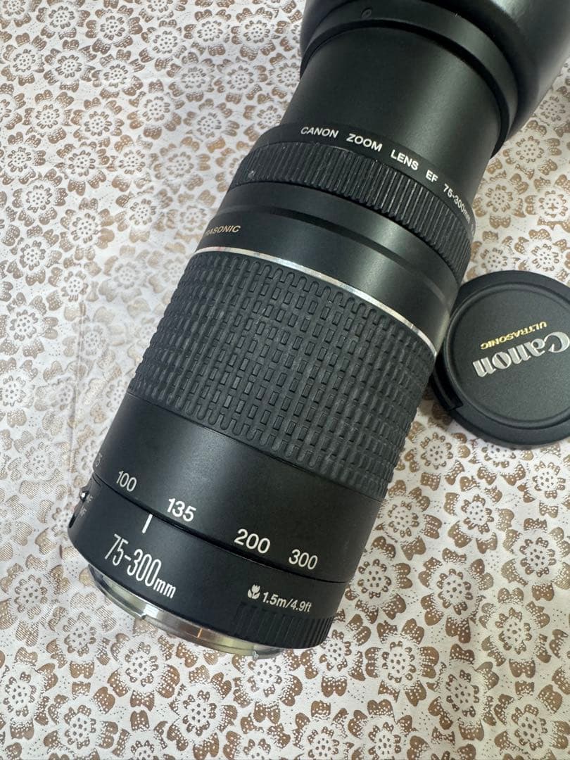 ◇超望遠&高速AF◇Canon純正 75-300mm Ⅲ 望遠レンズ!!◇