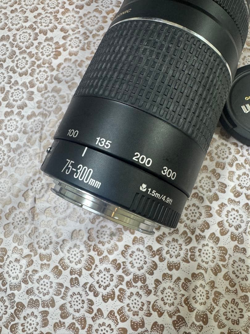 ◇超望遠&高速AF◇Canon純正 75-300mm Ⅲ 望遠レンズ!!◇