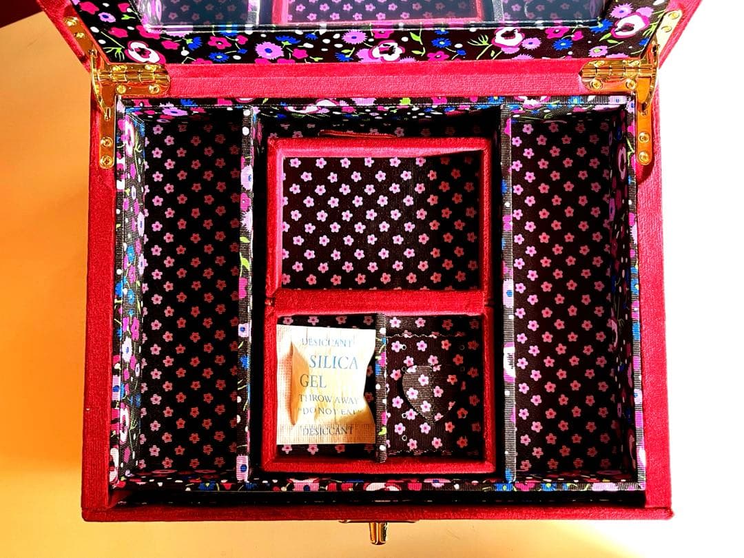 ANNA SUI × francfranc ジュエリーボックス 新品箱付 花柄