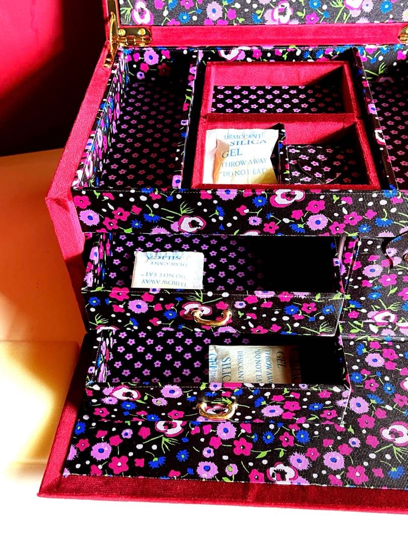 ANNA SUI × francfranc ジュエリーボックス 新品箱付 花柄