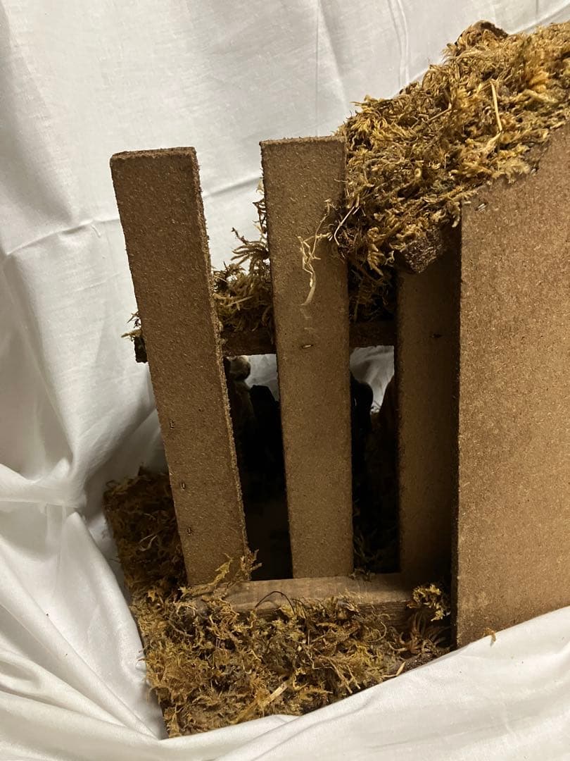 イタリー製 クリスマス プレゼピオ 馬小屋 降誕セット 手作り 人形11体付