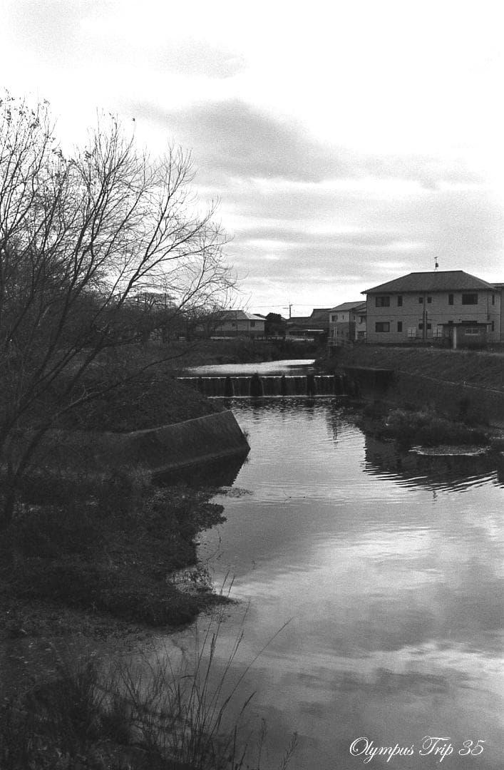 【整備済完動・美品・赤ベロOK！・フィルム試写済】Olympus Trip 35