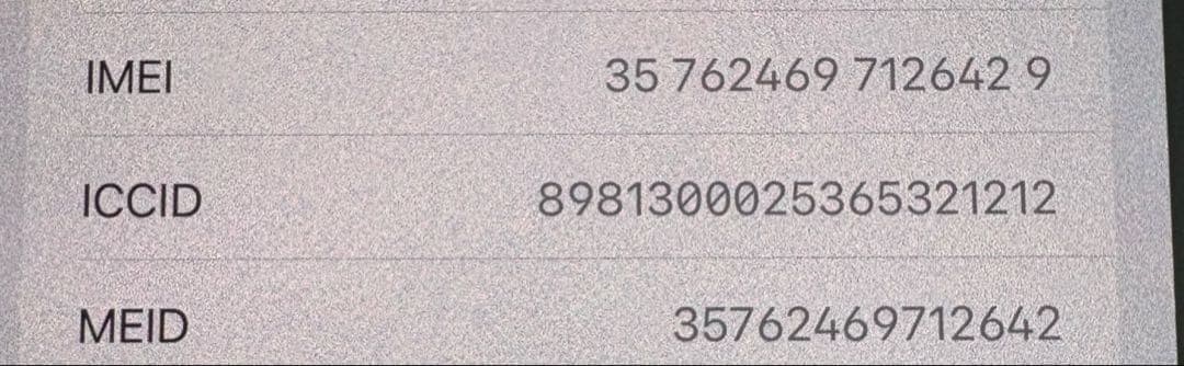 Apple iPhone 13 Pro Maxシエラブルー 本体