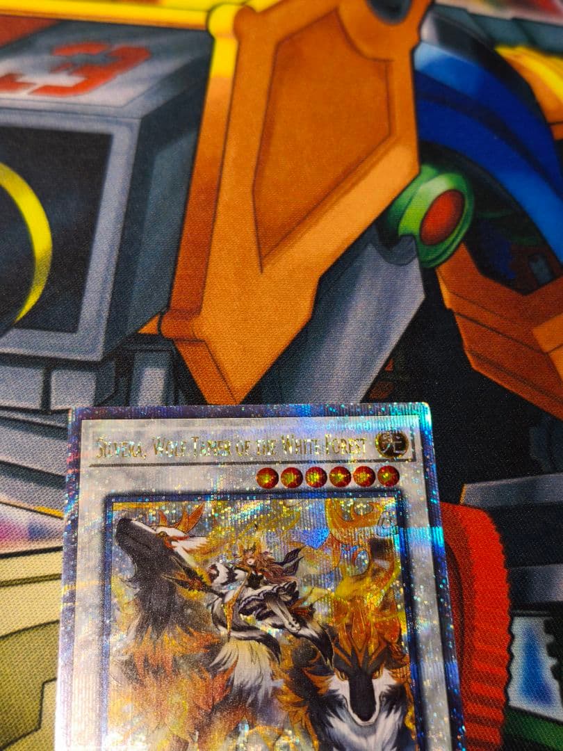 泰亜　アジア英語　白き森の魔狼シルウィア　25thシークレット　クオシク