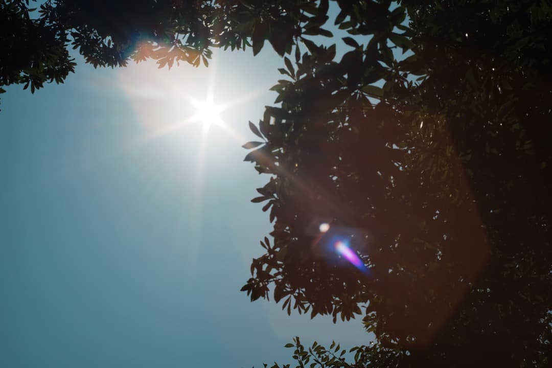 【この値段でライカ級】富岡光学製 XR RIKENON 50mm F2 966