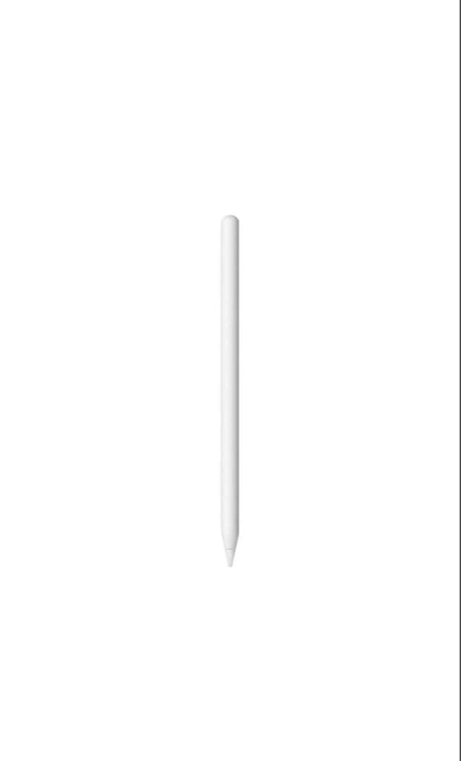 純正 Apple Pencil アップルペンシル 第2世代