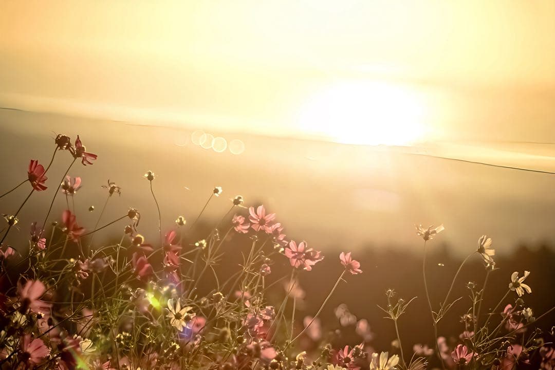 FUJIFILM X-H1 中古品で最安値