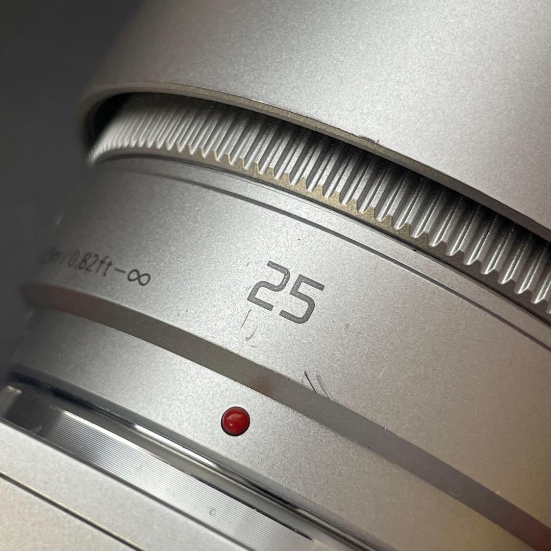 Panasonic DC-GF10W 4Kミラーレス一眼カメラ