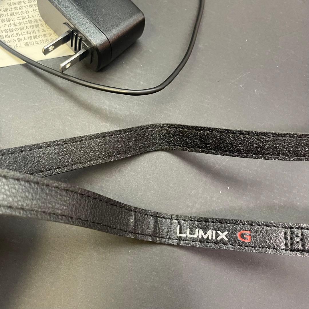 Panasonic DC-GF10W 4Kミラーレス一眼カメラ