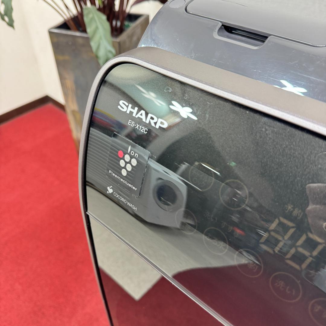 東京23区送料無料　超美品シャープドラム洗濯乾燥機型2024年製　洗浄/除菌済み