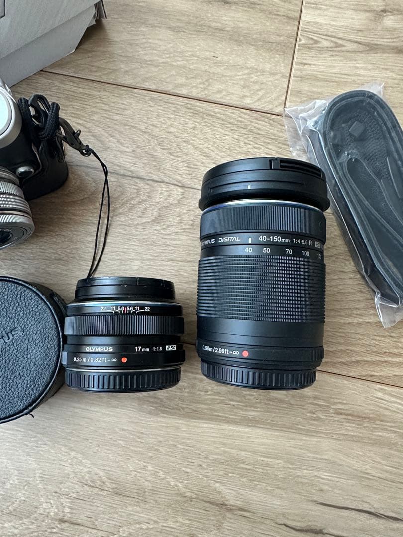 Olympus E-PL9 ミラーレスカメラ ズームキット17mmf1.8セット