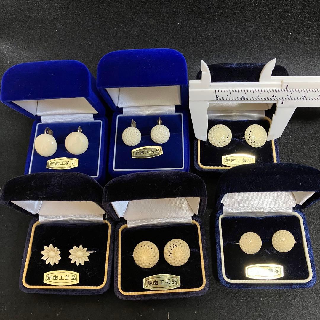 鯨歯工芸品　イヤリング6点セット