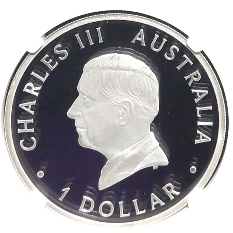 【最高鑑定】2024年 白鳥 1オンス銀貨 NGC PF70 純銀