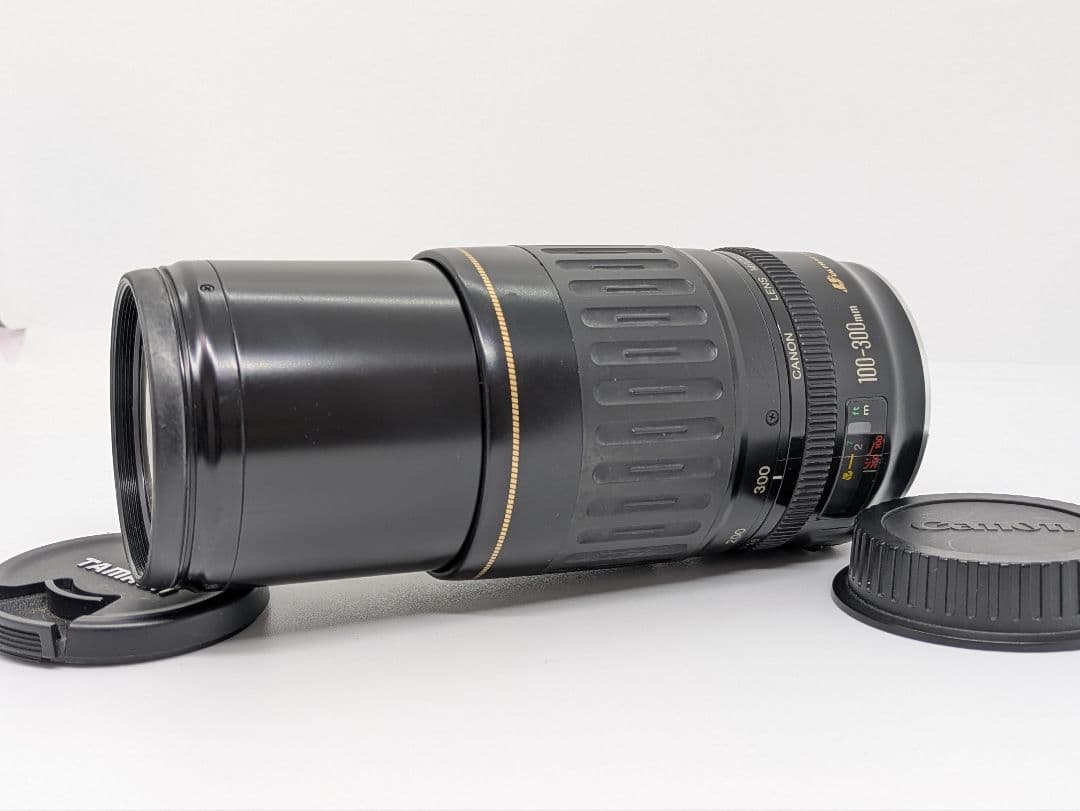 2月3日限定価格【超望遠レンズ】Canon EF 100-300mm USM