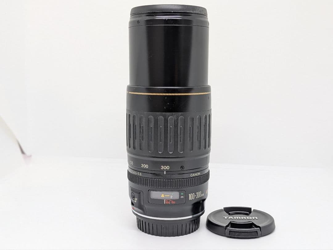 2月3日限定価格【超望遠レンズ】Canon EF 100-300mm USM