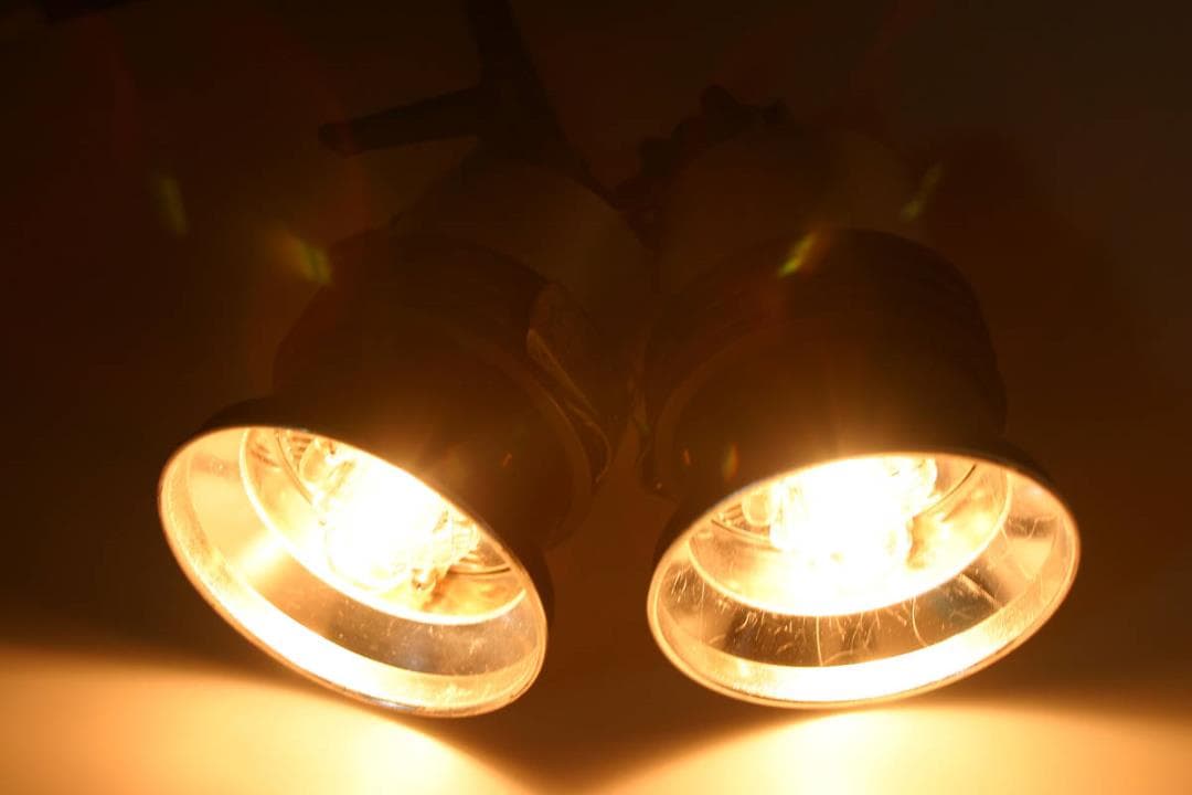 プロフォト profoto pro acute2 ジェネ 1台2灯 アキュート2