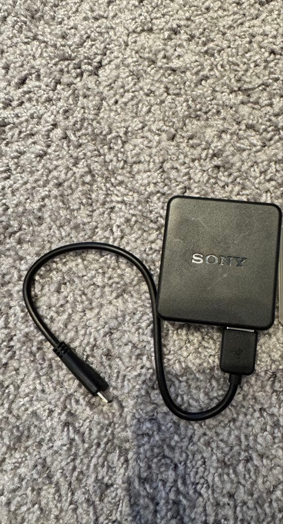 SONY DSC-WX500 レッド コンパクトデジタルカメラ