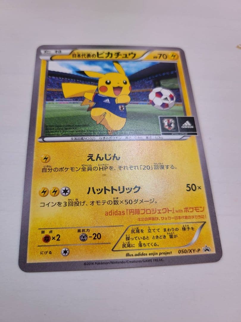 き*ょ様 日本代表のピカチュウ：ポケモンNewモン! Book付録