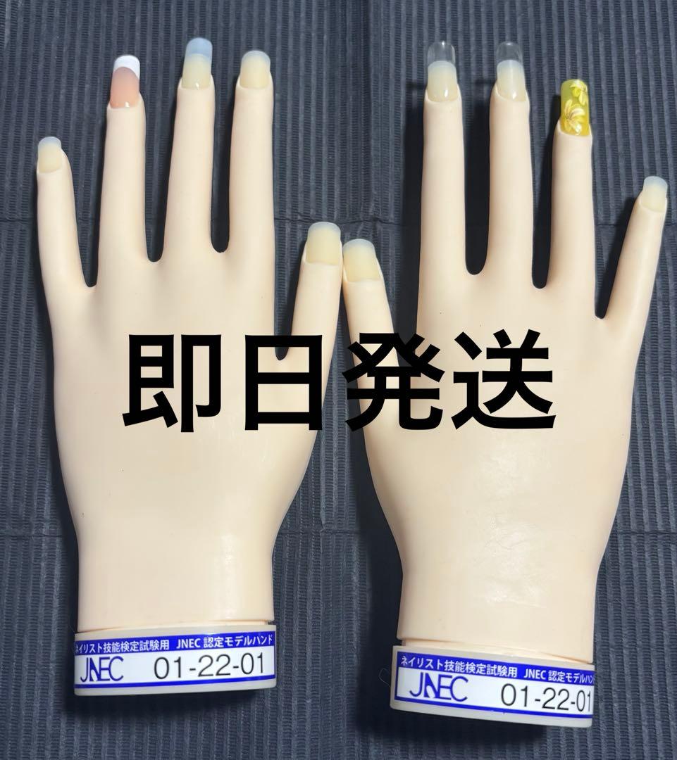JENC 認定モデルハンド ネイリスト技能検定試験 STモデルハンド