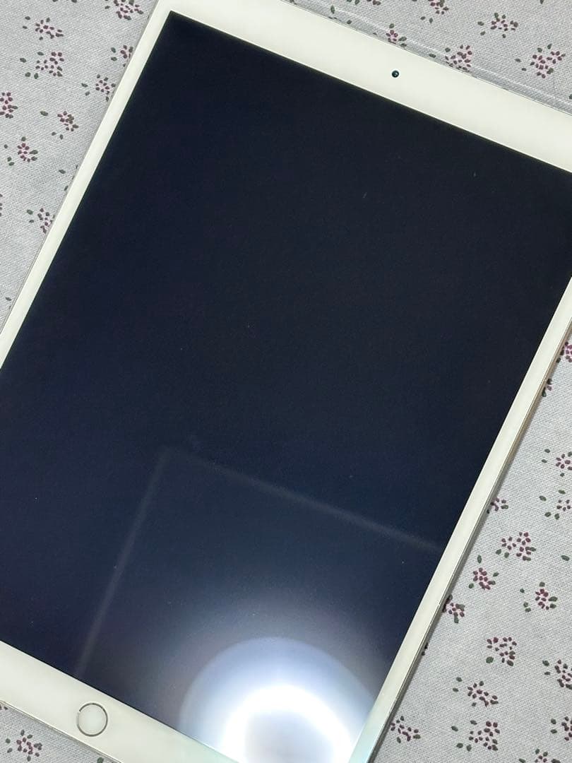 iPad Pro 10.5インチ 256GB WiFi モデル