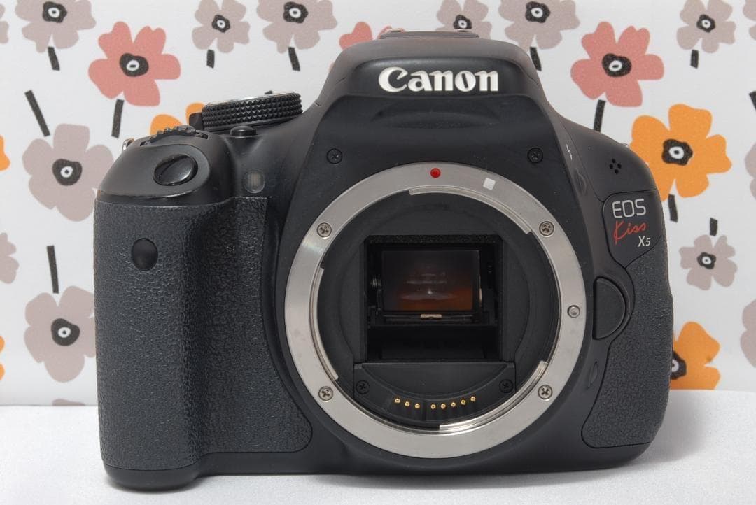 ❤Canon Kiss X5❤スマホ転送OK❤カメラバック付き❤Wレンズセット❤