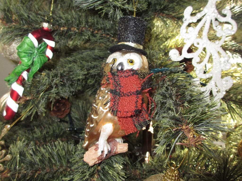 ❤️エモ写り 動作品　Canon IXY 600F FULL HD コンデジ