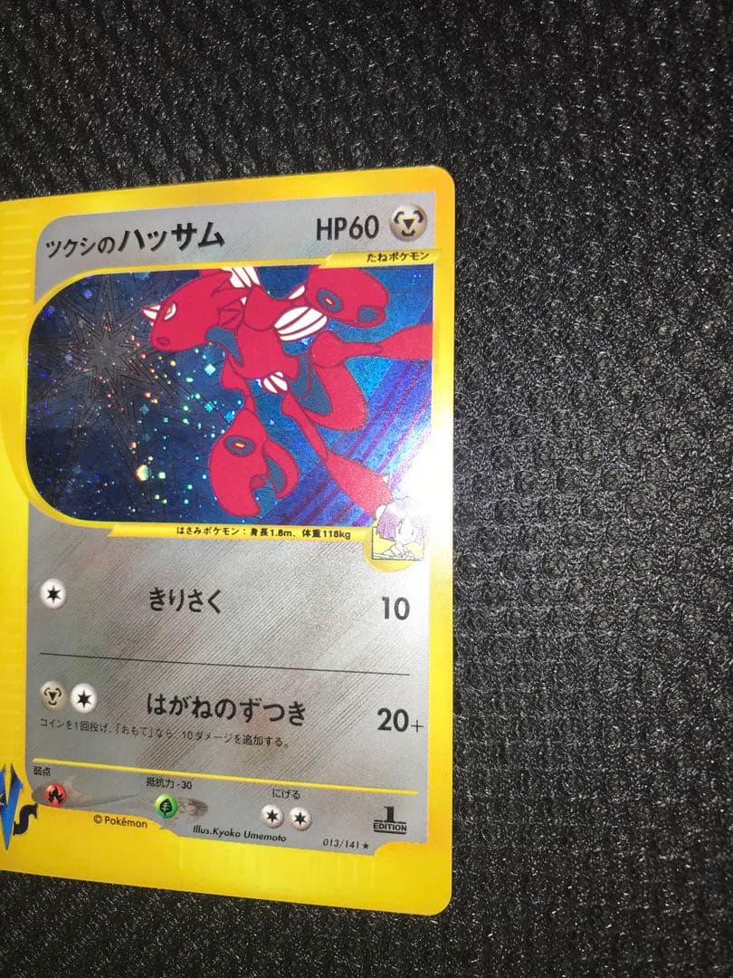 ツクシのハッサム