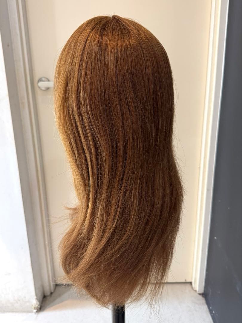 【美品】NBAA アップウィッグ　ブラウン