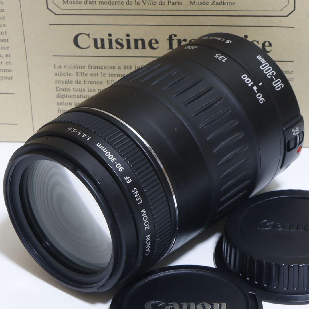 ★大迫力望遠!★キャノン EF 90-300mm 超望遠レンズ★