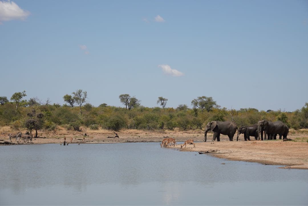 タムロン 17-70mm F2.8 Di III-A VC RXD Eマウント用