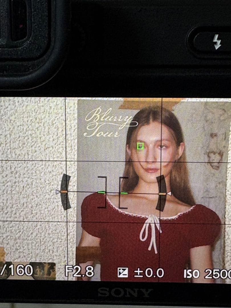 タムロン 17-70mm F2.8 Di III-A VC RXD Eマウント用