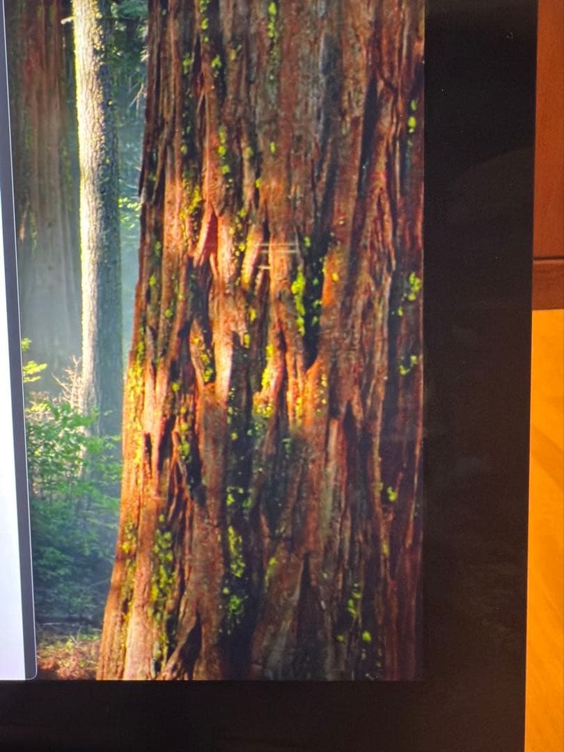 C*E様 iMac Pro 27インチ 3GHz10コアXeon W 64GB